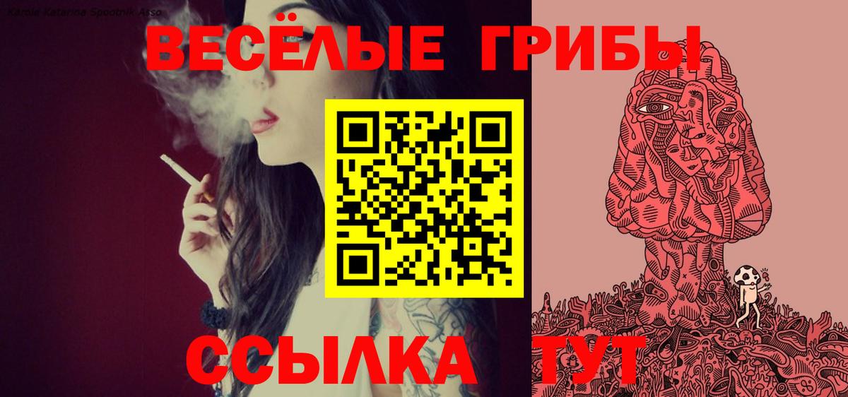 Белорецк  Галлюциногенные грибы Psilocybe  Вход с VPN  Галлюциногенные грибы GOLDEN TEACHER 